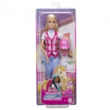 Barbie Malibu Rider Doll