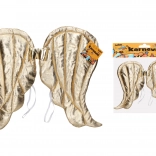 Carnavals gouden vleugels