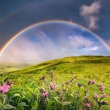 Puzzle 1500 Pieces Rainbow over the Meadow