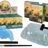 Set archeologico – scavi di conchiglie, 3 modelli a sorpresa