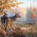 Diamantové malování Jeleni v ranní mlze 30x40 cm