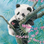 Puzzle 500 pieces Bamboo Dreams panda