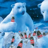 Puzzle Coca Cola Polar Bears 1000 Pieces