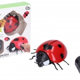 Coccinelle géante RC télécommandée 9 cm - emballage tchèque