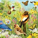 Panoramic Puzzle Garden Birds 1000 Pieces