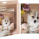 Diamond painting cucciolo carino 20 × 20 cm