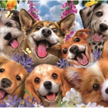 Educa puzzle Selfie Puppies 1000 pieces