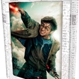 3D Puzzle HARRY POTTER – Harry, 300 pieces