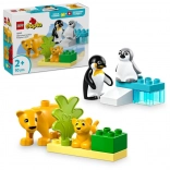LEGO DUPLO vadállatcsaládok: pingvinek és oroszlánok