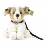 plys-hund australsk hyrde med line 28 cm miljøvenlig