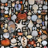 Puzzle From the Beach 1000 pieces PIATNIK