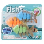 Diving Skeletons for Kids