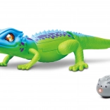 RC hagedis met afstandsbediening 35 cm