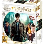 Prime 3D Puzzle Harry Potter: Harry, Hermione and Ron 3D XL 300 pieces