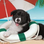 Puzzle CLEMENTONI Sunny Coast 104 pieces