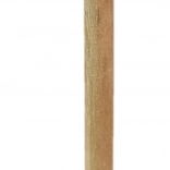 Wooden pencil with a little lion and a fluffy mane