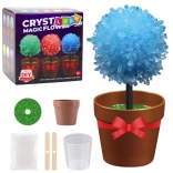 Magic Crystal Tree – Experiment for Children
