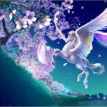 Norimpex diamantno slikanje Pegas 30x40 cm