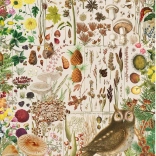 Puzzle Autumn Flora 1000 pieces GIBSONS