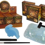 Ancient Creatures Excavation – Ammonite Surprise